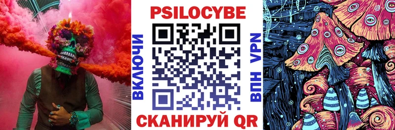 где купить наркоту Ветлуга Галлюциногенные грибы GOLDEN TEACHER
